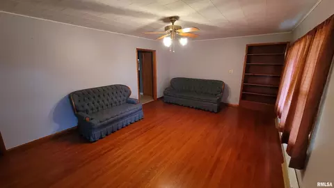 2234 Red Stripe Rd, Odin, IL 62870 photo 3