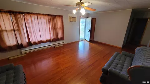 2234 Red Stripe Rd, Odin, IL 62870 photo 4