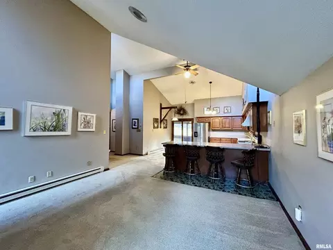 61 Schack Rd, Murphysboro, IL 62966 photo 8