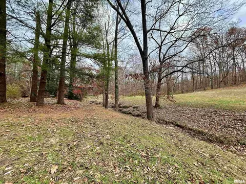 61 Schack Rd, Murphysboro, IL 62966 photo 41
