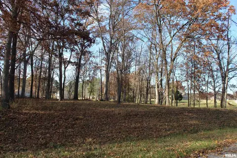 000 Birdie Dr, Mt Vernon, IL 62898