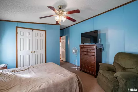 4543 Harvey St, Coello, IL 62825 photo 17