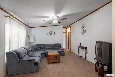 4543 Harvey St, Coello, IL 62825 photo 3
