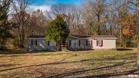 4543 Harvey St, Coello, IL 62825 photo 32