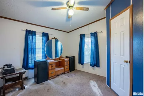4543 Harvey St, Coello, IL 62825 photo 5