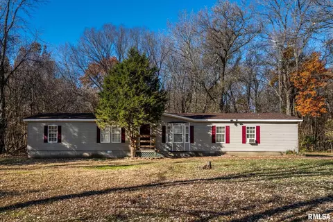 4543 Harvey St, Coello, IL 62825 photo 22