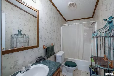 4543 Harvey St, Coello, IL 62825 photo 6