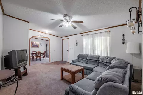 4543 Harvey St, Coello, IL 62825 photo 4