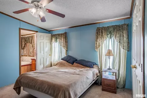 4543 Harvey St, Coello, IL 62825 photo 16