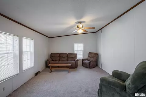 4543 Harvey St, Coello, IL 62825 photo 12