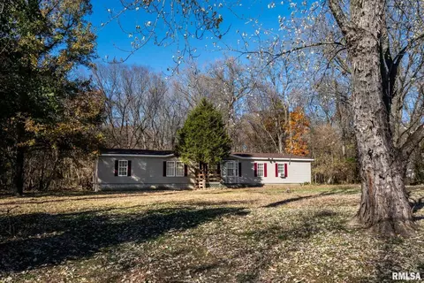 4543 Harvey St, Coello, IL 62825 photo 21