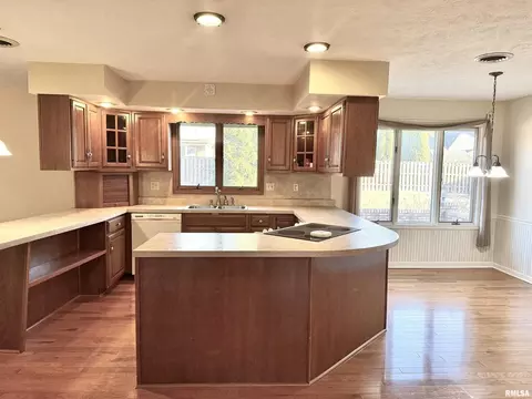 1810 Paula Ln, Marion, IL 62959 photo 10