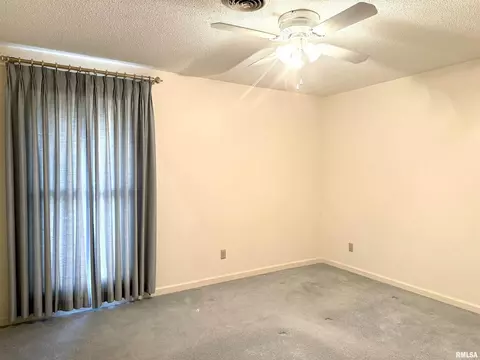 1810 Paula Ln, Marion, IL 62959 photo 28