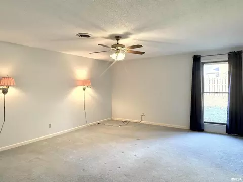 1810 Paula Ln, Marion, IL 62959 photo 22