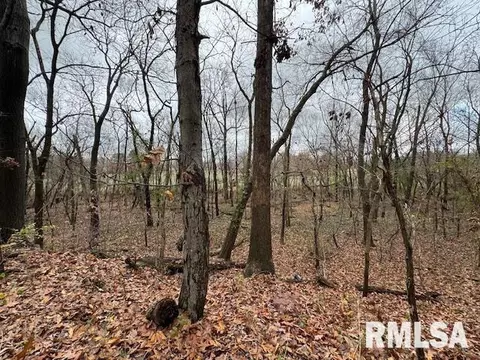 Other - 5267 Old North Rd, Christopher, IL 62822 photo 14 of 33