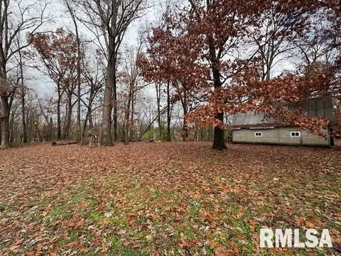 Exterior - 5267 Old North Rd, Christopher, IL 62822 photo 8 of 15