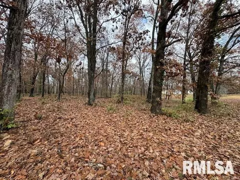 Other - 5267 Old North Rd, Christopher, IL 62822 photo 5 of 33