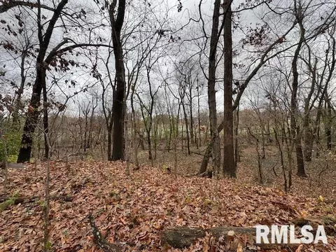 Other - 5267 Old North Rd, Christopher, IL 62822 photo 12 of 33
