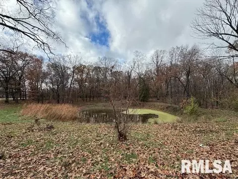 View/Area - 5267 Old North Rd, Christopher, IL 62822 photo 2 of 2