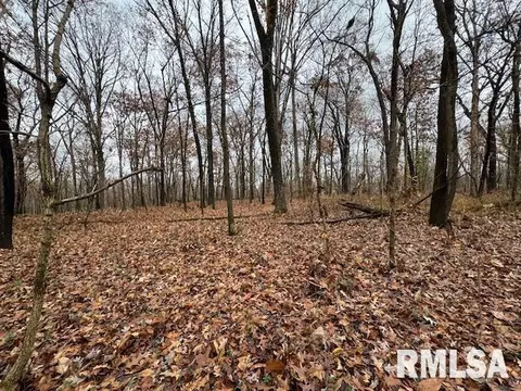 Other - 5267 Old North Rd, Christopher, IL 62822 photo 7 of 33