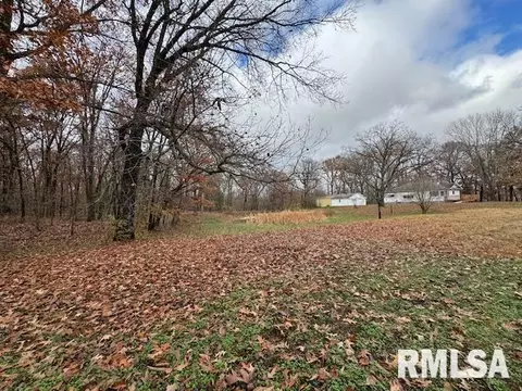 Exterior - 5267 Old North Rd, Christopher, IL 62822 photo 12 of 15