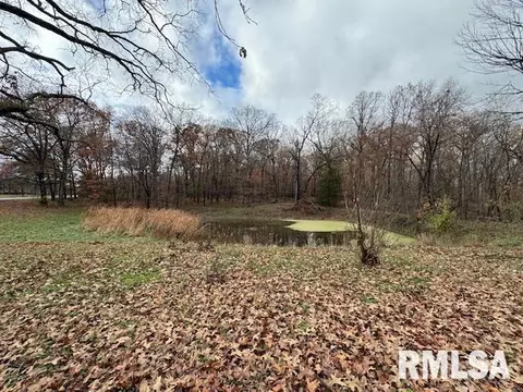 View/Area - 5267 Old North Rd, Christopher, IL 62822 photo 1 of 2