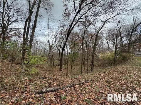Other - 5267 Old North Rd, Christopher, IL 62822 photo 10 of 33
