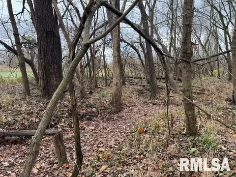 Other - 5267 Old North Rd, Christopher, IL 62822 photo 16 of 33