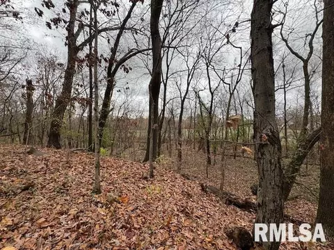 Other - 5267 Old North Rd, Christopher, IL 62822 photo 15 of 33