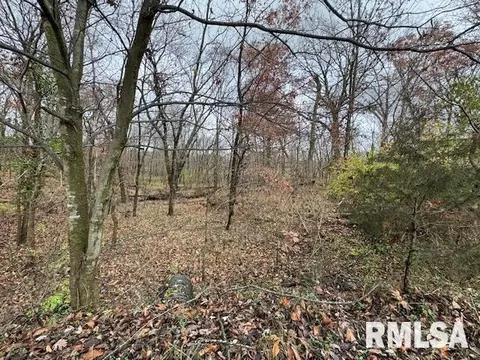 Other - 5267 Old North Rd, Christopher, IL 62822 photo 11 of 33