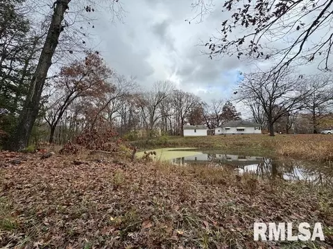 Other - 5267 Old North Rd, Christopher, IL 62822 photo 9 of 33