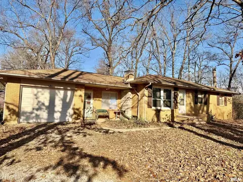421 County Rd 2400 N Rd, Centralia, IL 62801