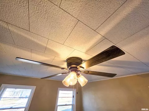 Other - 110 Hickory St, Flora, IL 62839 photo 3 of 23