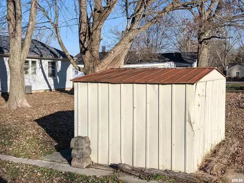 Exterior - 110 Hickory St, Flora, IL 62839 photo 8 of 13