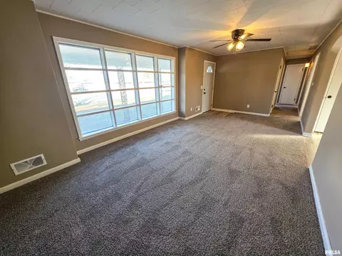 Living - 110 Hickory St, Flora, IL 62839 photo 1 of 6