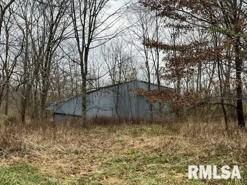 703 Buchanan Rd, Iuka, IL 62849 photo 2