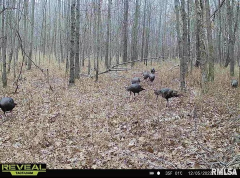 000 County 7 Hwy, Cisne, IL 62823 photo 76