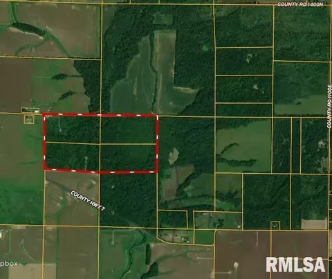 000 County 7 Hwy, Cisne, IL 62823 photo 3