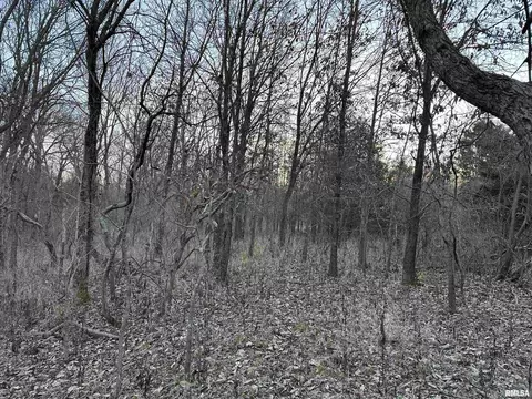 000 County 7 Hwy, Cisne, IL 62823 photo 33