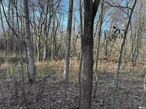 000 County 7 Hwy, Cisne, IL 62823 photo 43