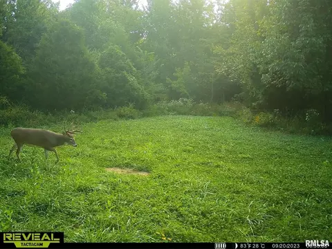 000 County 7 Hwy, Cisne, IL 62823 photo 62