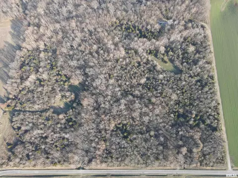 000 County 7 Hwy, Cisne, IL 62823 photo 5