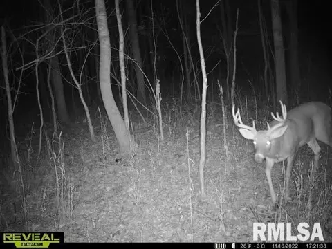 000 County 7 Hwy, Cisne, IL 62823 photo 53