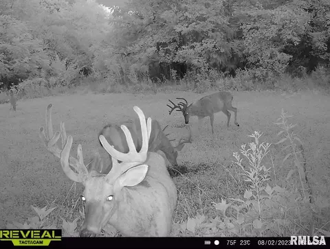 000 County 7 Hwy, Cisne, IL 62823