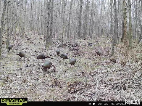 000 County 7 Hwy, Cisne, IL 62823 photo 78