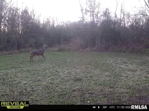 000 County 7 Hwy, Cisne, IL 62823 photo 57