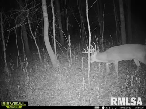 000 County 7 Hwy, Cisne, IL 62823 photo 59
