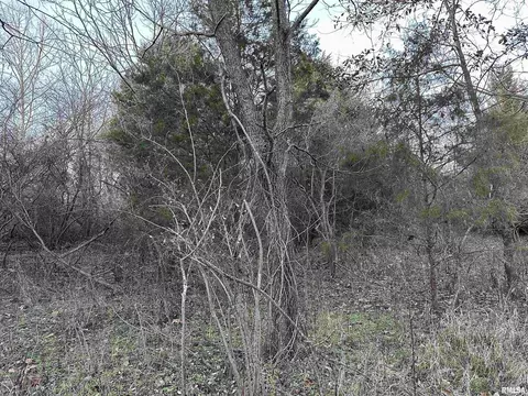 000 County 7 Hwy, Cisne, IL 62823 photo 36