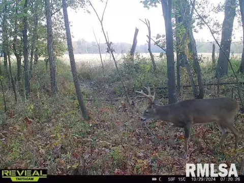 000 County 7 Hwy, Cisne, IL 62823 photo 72