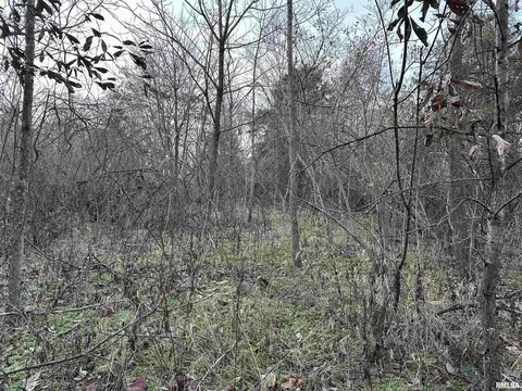 000 County 7 Hwy, Cisne, IL 62823 photo 35